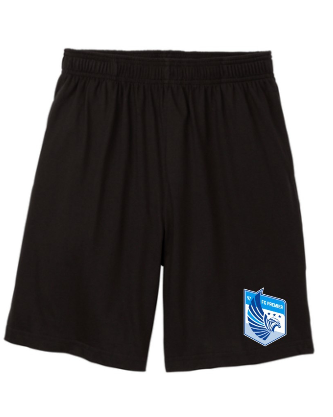 FC PREMIER Youth Boys Shorts