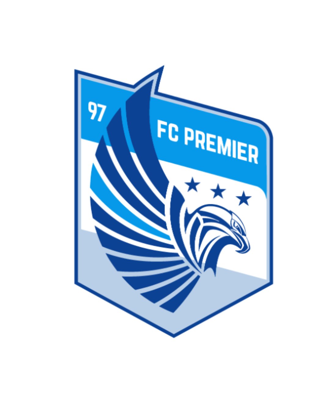 FC PREMIER SOCCER