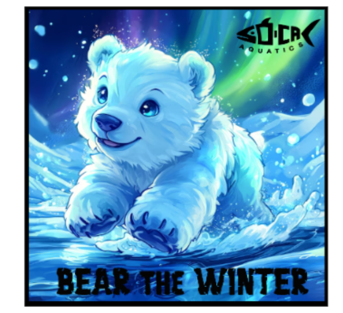 BEAR THE WINTER