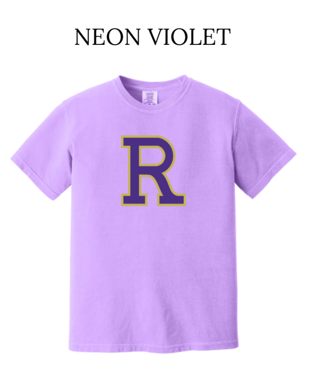 Ridgeview Swim Team  Shirt