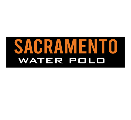 SAC POLO Decal WORD Logo  5 x 1.22  V3